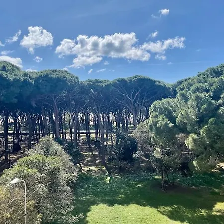Delizioso Vista Mare E Pineta * Follonica