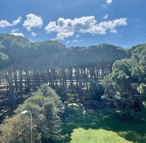 Delizioso Vista Mare E Pineta *